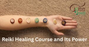 Reiki Healing course Level 2 by Dr N K Sharma at Aaroha Wellness Retreat in Dehradun in December.